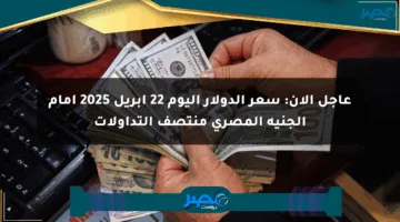عاجل الآن: سعر الدولار اليوم 22 أبريل 2025 أمام الجنيه المصري منتصف التداولات